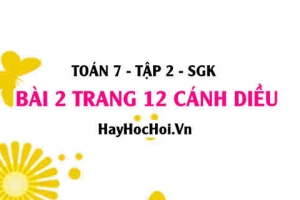 Bài 2 trang 12 Toán 7 Tập 2 Cánh Diều